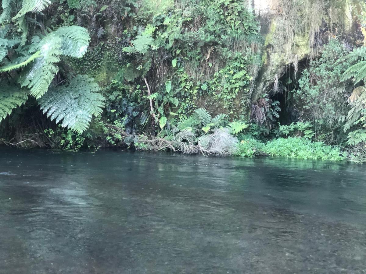 A1 Troutfishing At Tirau Villa Exterior foto
